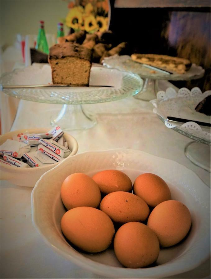 Torre Del Sole Hotel ตาร์กวิเนีย ภายนอก รูปภาพ